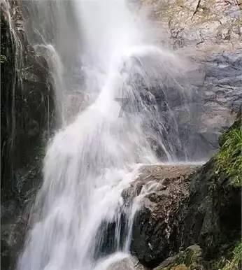 逃离森林湖畔